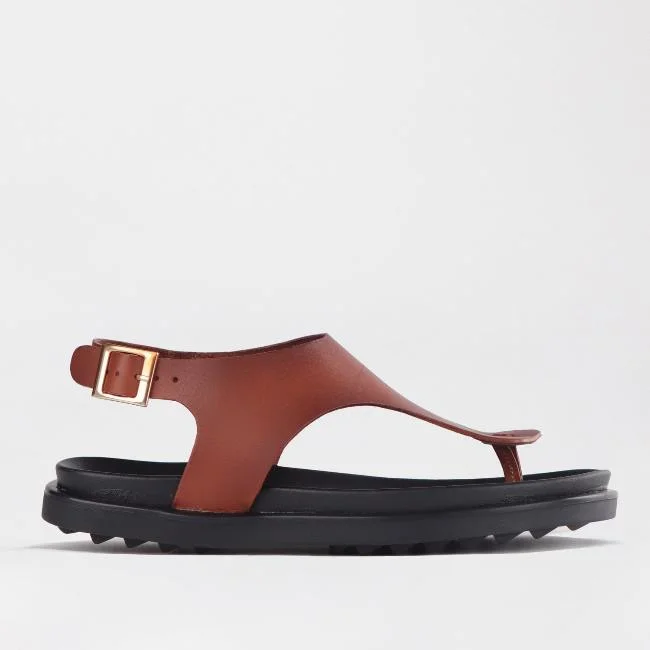 Women's Thong Sandals with a Beaded Design in Multicolor for a Beachy AestheticWomen's Thong Flat Sandal in Chestnut - 12692 Women's Thong Sandals with a Beaded Design in Multicolor for a Beachy AestheticWomen's Thong Flat Sandal in Chestnut - 12692