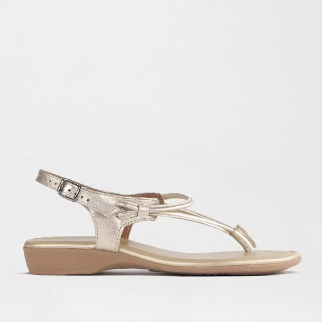 Elastic - Strap Women's Sandals with a Padded Toe in Teal for Easy On - and - OffWomen's Thong Flat Sandal in Gold- 10732 Elastic - Strap Women's Sandals with a Padded Toe in Teal for Easy On - and - OffWomen's Thong Flat Sandal in Gold- 10732