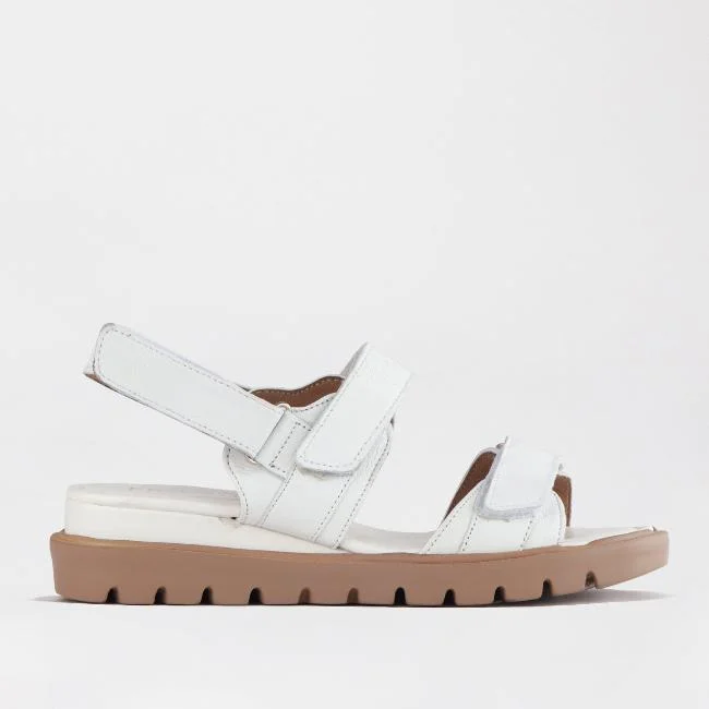 Women's Sandals with a Glitter - Coated Strap in Gold for a Sparkly Summer OutfitTriple Velcro straps Sandal in White - 12667 Women's Sandals with a Glitter - Coated Strap in Gold for a Sparkly Summer OutfitTriple Velcro straps Sandal in White - 12667